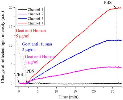 High-Sensitive Surface Plasmon Resonance Imaging Biosensor Based on Dual-Wavelength Differential Method